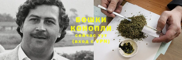 spice Чита