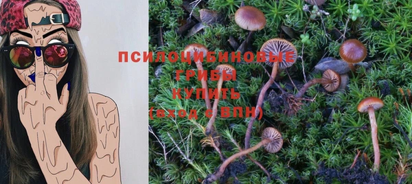 бутират Майский