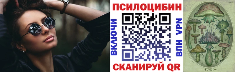 где найти   Бийск  Псилоцибиновые грибы ЛСД 