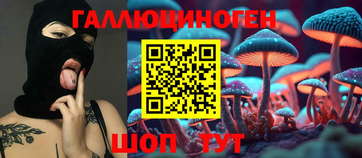 Псилоцибиновые грибы Psilocybine cubensis Бийск